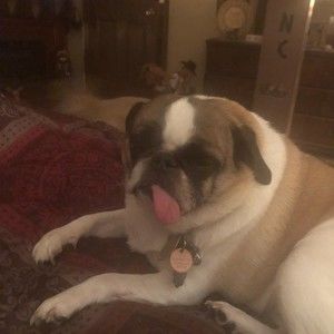 Meet your Posher, Sheldon